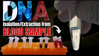 DNA Extraction from Blood Samples Comprehensive StepbyStep Guide  Molecular Biology Laboratory [upl. by Darrej]