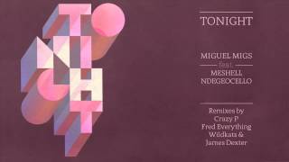 Miguel Migs Tonight feat Meshell Ndegecelllo [upl. by Yellah46]