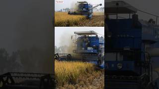 Sonalika Combine Harvester agriculture sonalikaharverster trending farming [upl. by Raynah42]