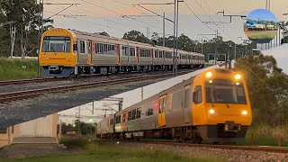 Queensland Rail IMU 110 amp SMU 209 at Oakhurst QLD [upl. by Aivuy533]