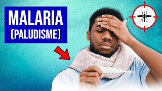 Malaria Paludisme  Symptômes et Traitements [upl. by Draned568]