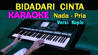 BIDADARI CINTA  Adibal  KARAOKE Nada Pria  Koplo Version [upl. by Albin]