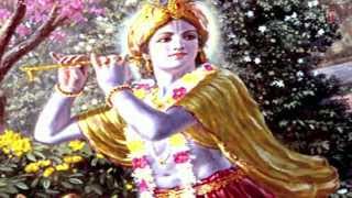 Bihari Tere Naina Krishna Bhajan By Swami Divyanand Ji MaharajFull Video Song I Hari Naam Ki Mala [upl. by Charmane]