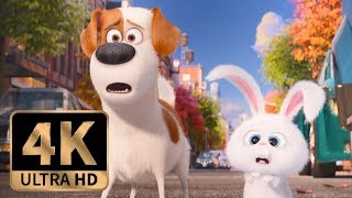 The Secret Life Of Pets 2 All Trailers 2019 HD [upl. by Gabor60]