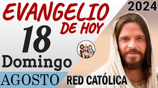 Evangelio de Hoy Domingo 18 de Agosto de 2024  REFLEXIÓN  Red Catolica [upl. by Aleuqahs]