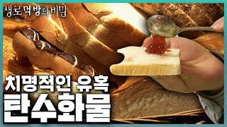 밥 먹고 빵 먹고 과자까지 먹는 당신과 나 🍚🍕🍩 탄수화물의 유혹을 떨쳐내야 하는 이유 치명적인 유혹 탄수화물 사실상 생로먹방 95탄😙  KBS 100506 방송 [upl. by Leuqcar311]