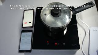 Water boiling test and power consumption measurement for IKEA TILLREDA Portable induction hob [upl. by Nnairet]