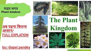 Plant kingdomपादप जगत biology for All competetive exam [upl. by Antonius832]