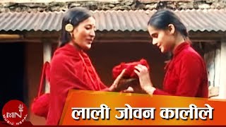 Teej Song  Lali Joban Kaalile quotलाली जोवन कालीलेquot  Haridevi Koirala [upl. by Septima666]