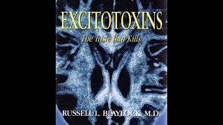 MSG amp Excitotoxins The Silent Killers  Dr Russell Blaylock [upl. by Gitt]