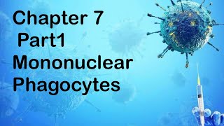 Chpter 7  Part 1 Mononuclear Phagocytes in Immune Defense [upl. by Marler]