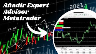 Añadir Expert Advisor Metatrader 4  Panel de Trading [upl. by Shah153]