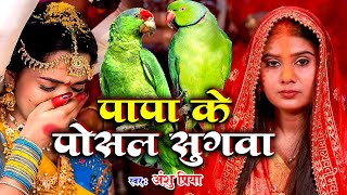 बेटी विवाह गीत  पापा के पोसल सुगवा  Anshu Priya Shadi Vivah Geet  Anshu Priya Beti Vivah Geet [upl. by Dolli]