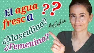 ¿Sustantivos masculinos y femeninos a la vez agua área águila acta arma hacha [upl. by Seitz]