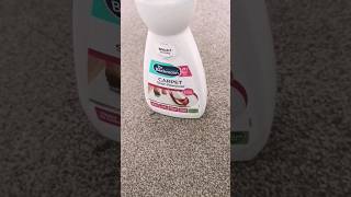 Dr Beckmann carpet stain Removal Actually works viral [upl. by Ardel]