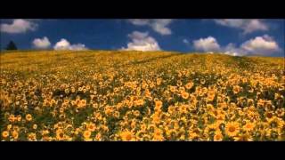 Roberto Cacciapaglia  Wind Song HD [upl. by Ijok]