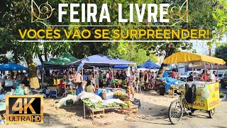 NA FEIRA LIVRE DA 25 EM BELÉM ENCONTRAMOS TUCUPI DA AMAZÔNIA POR 1000 REAIS  4K 50fps [upl. by Tcideneb755]