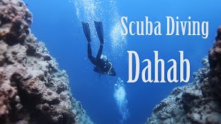 Scuba Diving  Dahab 2024 [upl. by Ahsimak]