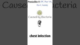 penicillin tabletpc pen vk penv veetids causedbacteria chest infection 💝💝💝 [upl. by Storm]