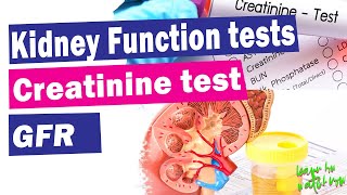 Kidney function tests  Serum creatinine test  GFR  Explained [upl. by Merp512]