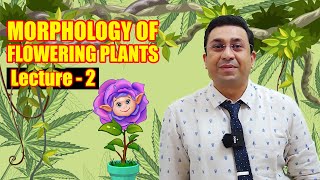 Morphology of Flowering Plants l lecture 2 l Biology l NEET [upl. by Aisyat]