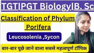 Classification of PoriferauptgtpgtbiologyclasesTGTPGT BiologyBsc amp MSc biologyBy Priyal bhati [upl. by Gerg]