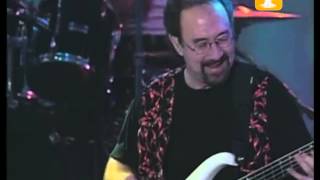 Creedence Clearwater Revisited Down On The Corner Festival de Viña 1999 [upl. by Omarr]