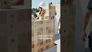 Ziegelsteine aus Holz 🧱 einfachgenial hausbau [upl. by Bernstein]