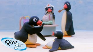 Pingu is Thankful 🐧  Pingu  Official Channel  Cartoons For Kids [upl. by Nylsej]