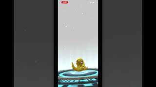 Evolving REMORAID SHINY to OCTILLERY SHINY  Pokémon Go [upl. by Thetes]