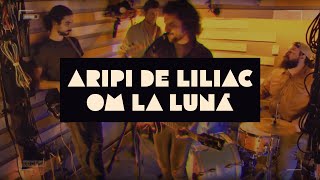 om la lună — Aripi de Liliac Official Video [upl. by Armin]