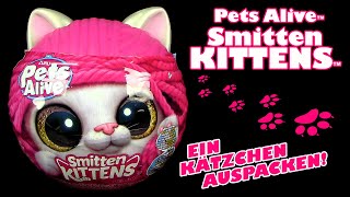 Zuru ® Pets Alive ™ Smitten Kittens ™ Kätzchen auspacken mit Sound  Flasche  Streu  Stickers etc [upl. by Olvan]