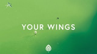 Lauren Daigle  Your Wings Lyrics [upl. by Baskett]