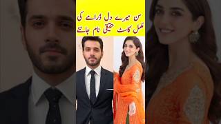 Sunn Mere Dil Fpisode 2 3  Sunn Mere Dil Drama Cast  Wahaj Ali  Maya Ali  sunnmeredildrama [upl. by Hamo]