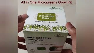 Seedbasket All in One Microgreens Growing Kit without soil Microgreens DIY Kit microgreens [upl. by Amaty]