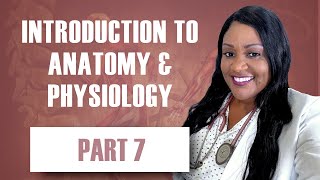 Anatomy and Physiology Process of Osmosis [upl. by Anavas523]