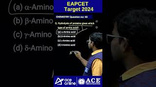 EAPCET Target 2024  Hydrolysis of proteins gives which type of amino acid chemistryquestions [upl. by Ayel272]