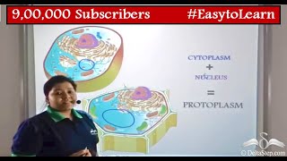 Cytoplasm and Protoplasm  Difference  Cells  Class 6  CBSE  NCERT  ICSE [upl. by Anuala867]