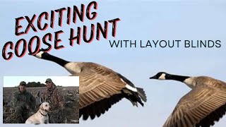 Exciting Goose Hunt with layout blinds [upl. by Annemarie764]