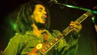 Bob Marley  Three Little Birds LIVE 1980 RARE [upl. by Ketti174]