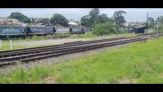 QL009 QE003 QL004 going pass Marrickville Station in March 2024 [upl. by Rozalin]