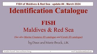 FISH Identification catalogue  Maldives and Red Sea version 4 [upl. by Nibot]