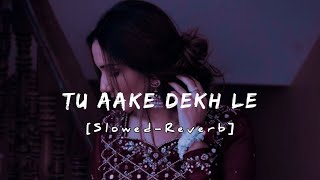 TU AAKE DEKH LE  KING 👑  SLOWEDREVERB  NIGHT RLXX [upl. by Toor]