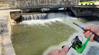 HISTORIC urban creek FULL of fish Biggest catch of the year [upl. by Aitnecserc]