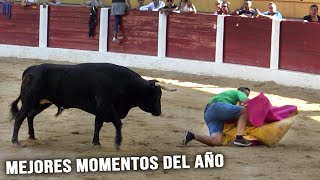 Toros Bravos Solo Mejores Momentos 3 [upl. by Arva921]