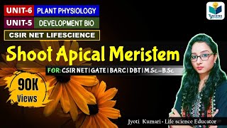 Meristematic Tissue  Meristems  Characteristics Classification amp Functions  Plant Tissues [upl. by Sothena]