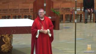 Palm Sunday Homily at the Cathedral Bishop Robert Barron 3202016 [upl. by Margit163]