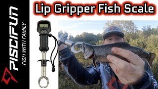 Piscifun Lip Gripper Fish Scale Brook Trout [upl. by Pressman]