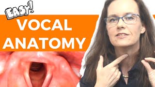 Vocal Anatomy for Voice Users Laryngeal Anatomy [upl. by Maiah]