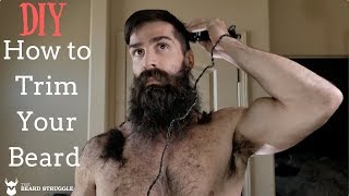 The Beard Struggle  Trim Your Beard Like A Viking  DIY   Daniel Zigler [upl. by Figone]